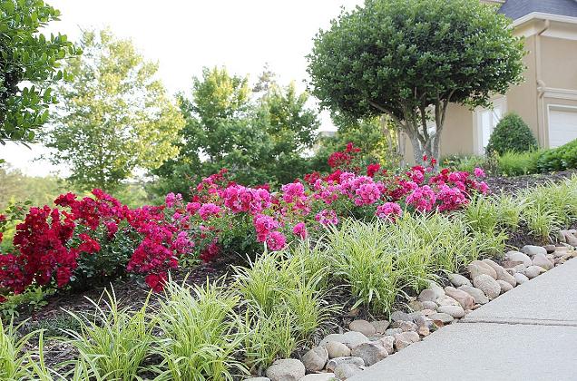 Vialetto d'ingresso: decorazioni floreali
