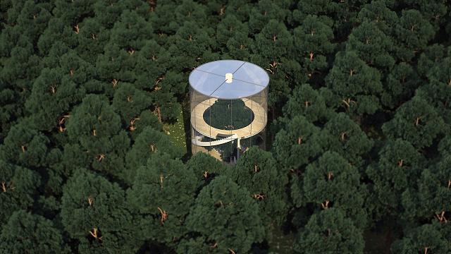 la casa intorno all'albero: design nella foresta
