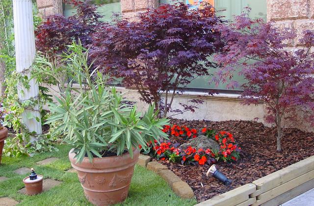 Il mese di settembre è un periodo ottimale per sistemare il giardino e preparare il successivo anno di giardinaggio