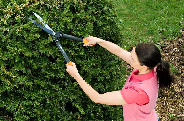 settembre è un mese intenso per la cura di ortaggi, piante e fiori