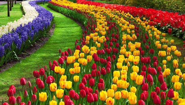 La cura di fiori e aiuole nel mese di settembre