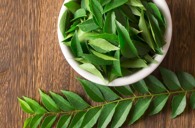 La salvia, vera alleata per le donne