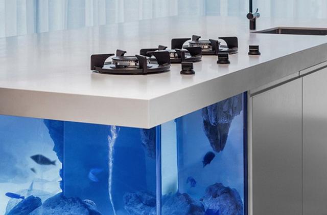 Un acquario in cucina