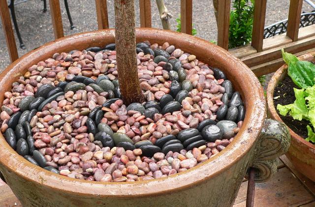 Decorare con i sassi: idee faidate semplici ma di grande impatto