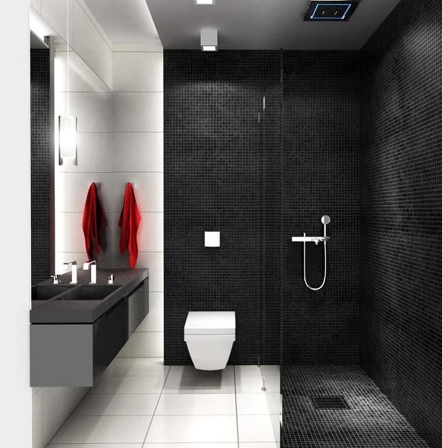 Il bagno bianco e nero