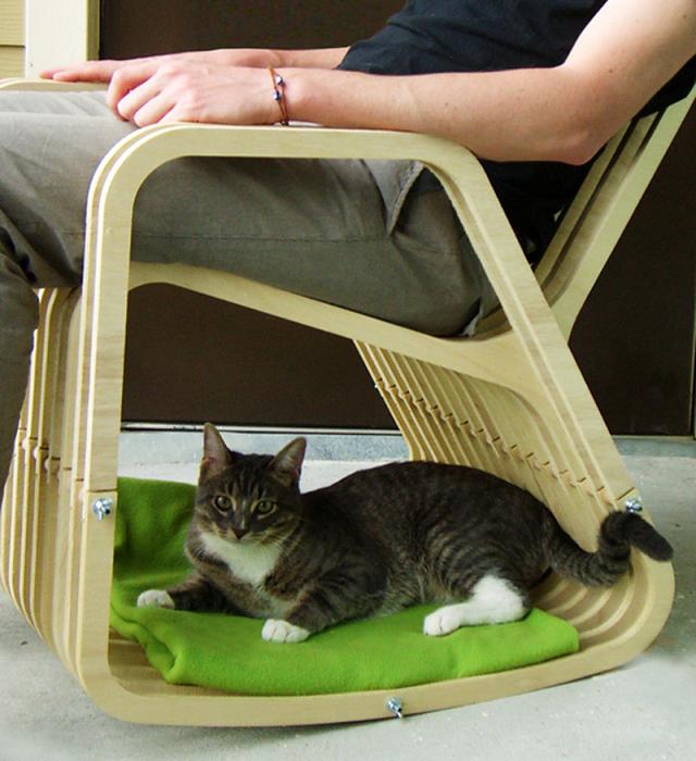 La sedia a dondolo per animali (e padroni) dormiglioni