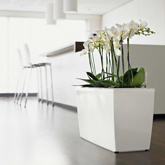 Il vaso con irrigatore automatico