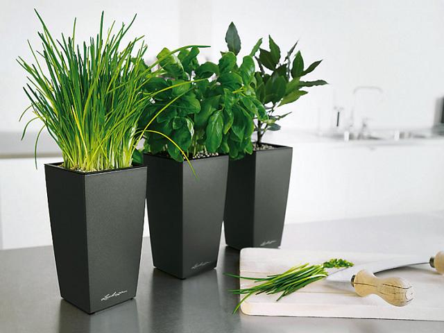 Vasi con sistema di irrigazione - Lechuza
