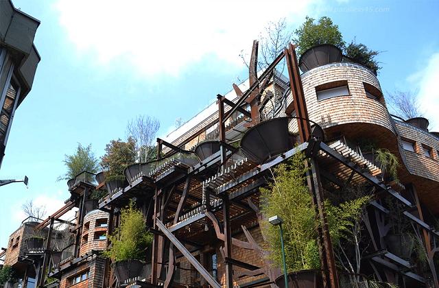 A Torino una foresta abitabile