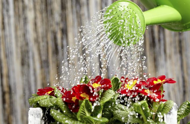 Come riciclare l'acqua della pasta: una piccola guida