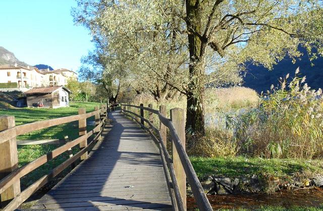 Sponsorizza o adotta il verde pubblico del tuo comune