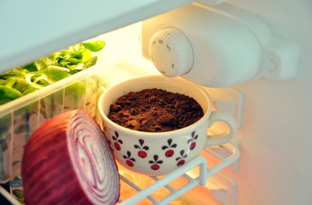 Eliminare cattivi odori dal frigorifero