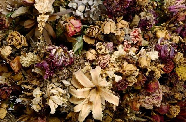 Eliminare odori dei fiori secchi