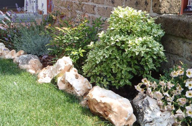 Come decorare il giardino con i sassi: idee pratiche