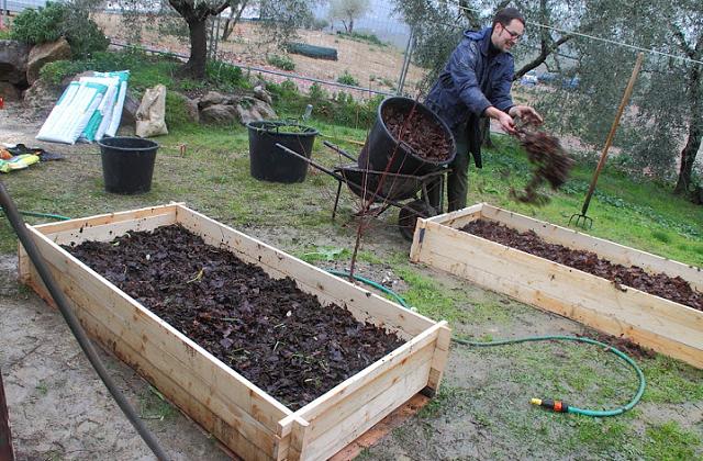 Orto in casa: guida completa a come fare