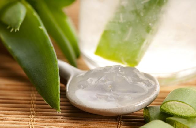Succo di aloe vera: coltivazione, benefici e controindicazioni