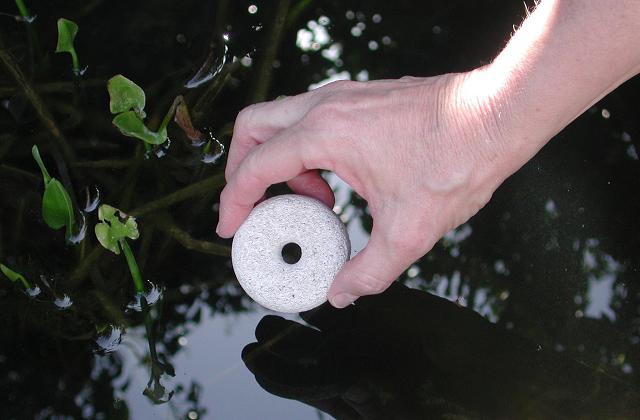 Allarme zanzare: metodi per combattere questo fastidiosissimo insetto