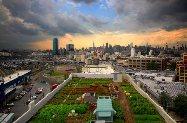 Il giardino (o l'orto) sul tetto del condominio
