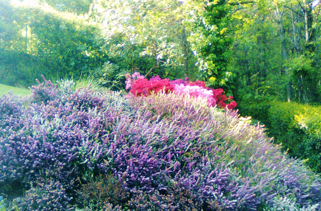 curare il giardino autunno