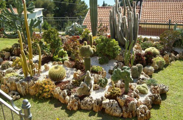 composizione di piante grasse in giardino