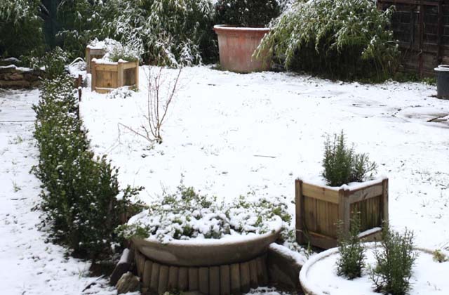 cure per il giardino in inverno