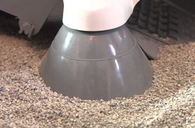 pulire la lettiera del gatto