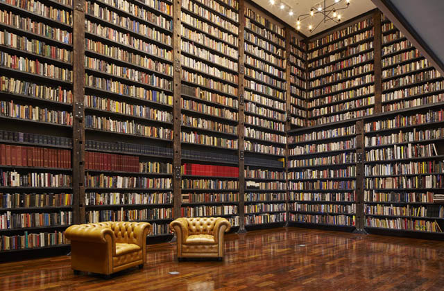 Stony Island Arts Bank