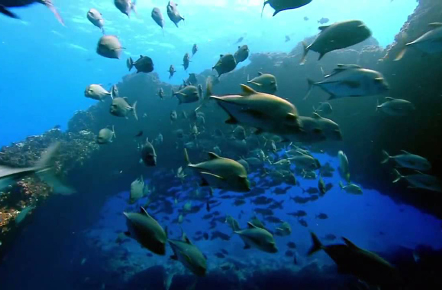 gli hotel più strani del mondo