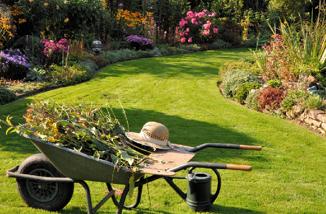 preparare il terreno