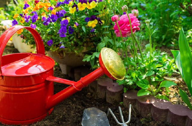 annaffiare le piante