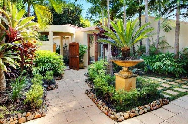 pianta aromatica da giardino