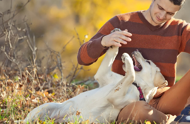 giocare col cane in vacanza