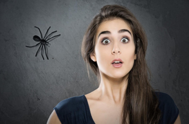 cacciare i ragni con i rimedi naturali