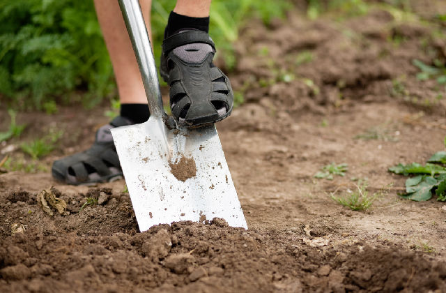 sistemare la terra nell'orto a settembre