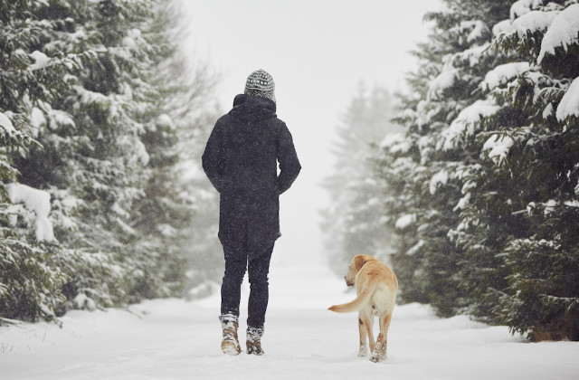 passeggiare col cane d'inverno