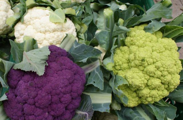 varietà di cavoli