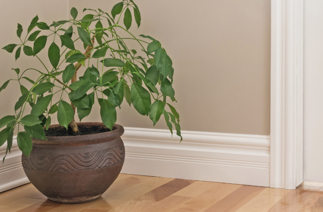 riscaldamento a battiscopa