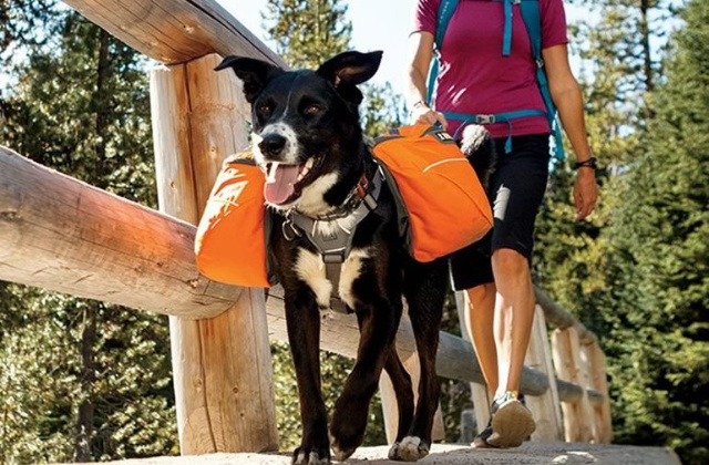 Ruffwear