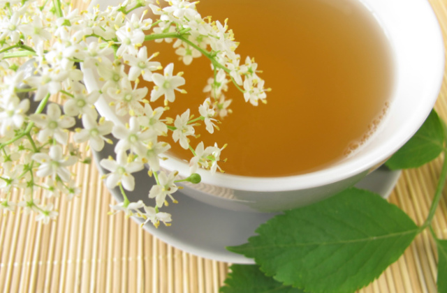 preparare il tè bianco