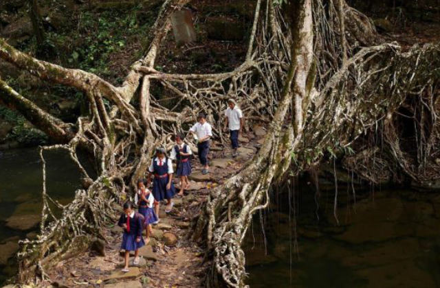 bambini che attraversano un ponte in caucciù