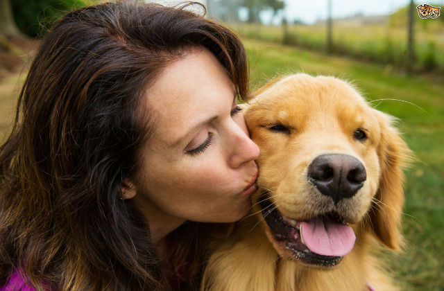 padrona bacia il cane