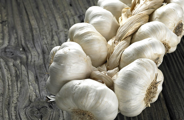 alcool d'aglio fatto in casa