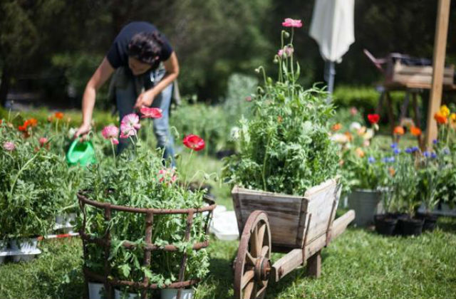 garden therapy bamini
