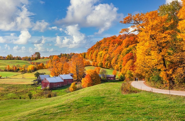L'incanto del foliage in America