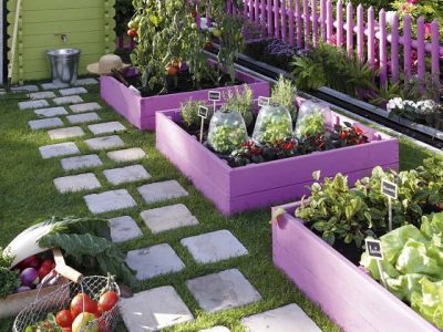 10 cose da sapere per iniziare a coltivare un orto biologico